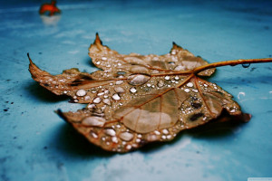 原来是他!国羽新星复盘,球风突变竟是拜这位大神所赐!