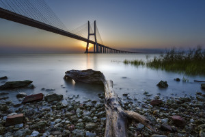 打破常规！F1电竞新星积分榜上一骑绝尘！